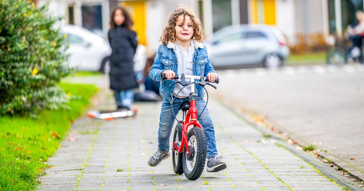 Child Study Center › Accare